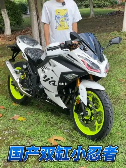 国产双缸小忍者