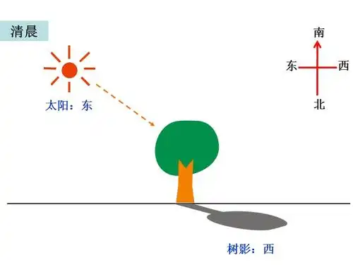 五上二2阳光下的影子陈建秋ppt