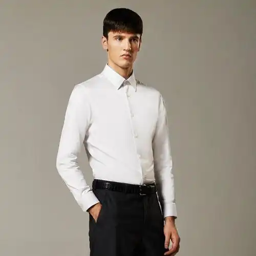 【极致单品】七匹狼狼图腾男装净色长袖商务衬衫 春装新款1a
