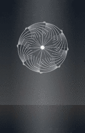 酷炫动态粒子〗第一辑【带背景gif素材】