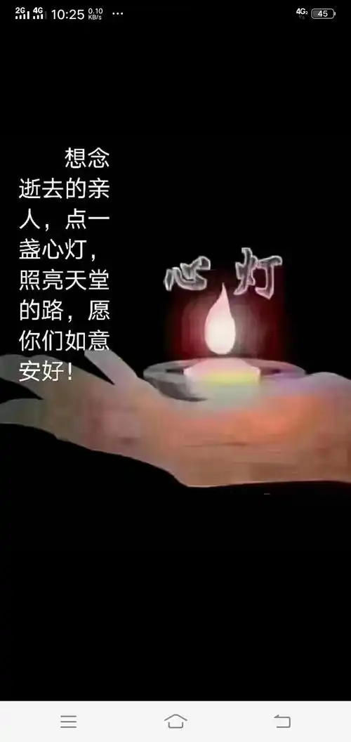 今天清明节点上一盏心灯照亮天堂里的路愿天堂里的亲人和故友从此不在