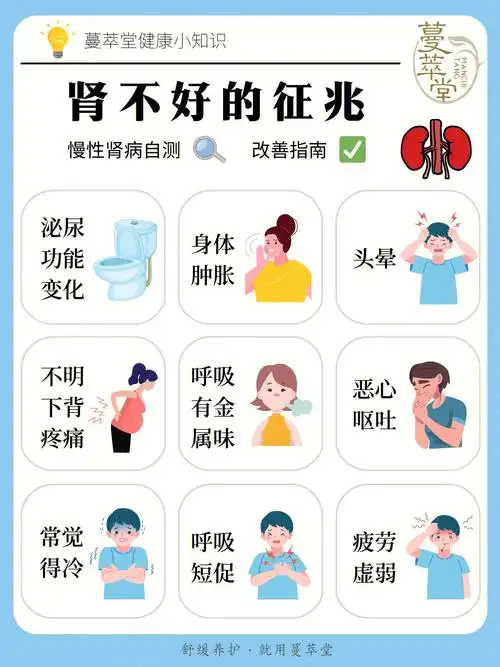 8915九大症状自检自查,看看你的肾是不是也有这些问题困扰,以及