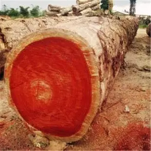优价非洲进口 红花梨板材 红檀香 原木 免费送样板