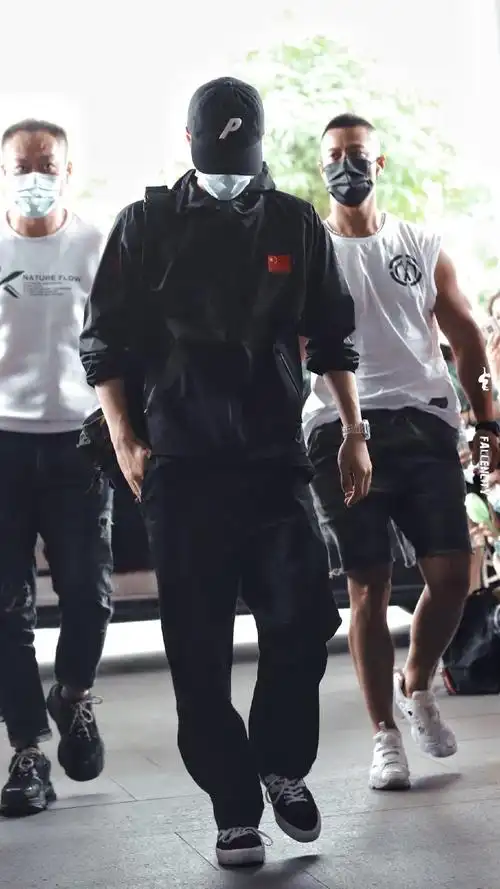 壁纸 动物 狗 狗狗 690_1227 竖版 竖屏 手机