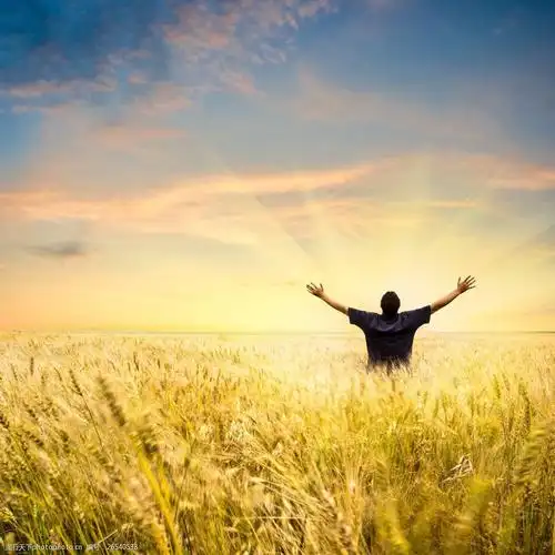 人物 男人 稻田 壮观 张开双手 天空 金色 山水风景 风景图片 图片