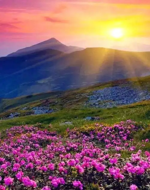 温暖人心的早安正能量,阳光积极,值得分享