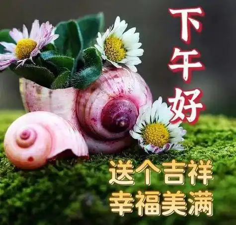 下午好图片大全下午好祝福下午好问候