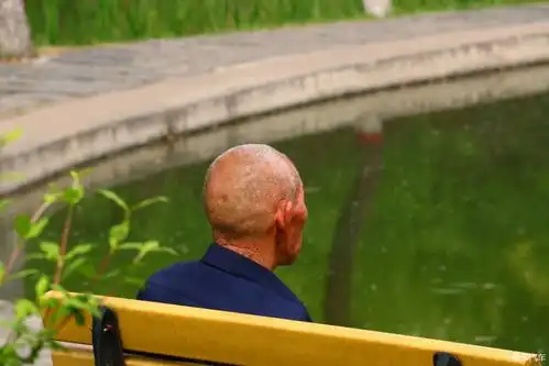 湖边静坐的老人,虽然只是一个简单的背影,却让我感到难过,我们都会老