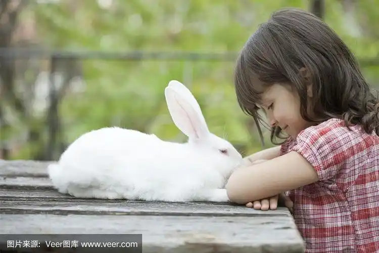 小女孩和小白兔