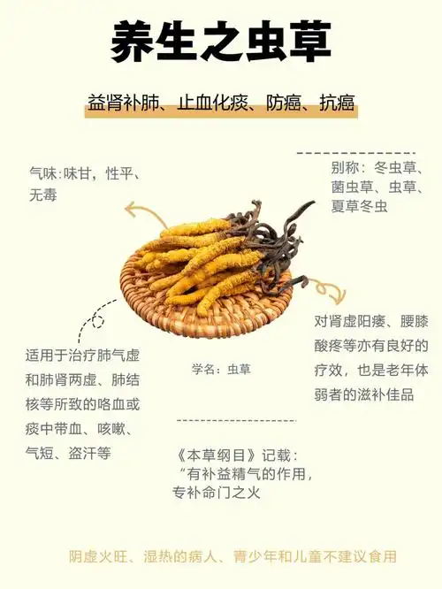 养生之虫草