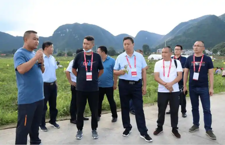 辣博会客商来绥阳考察