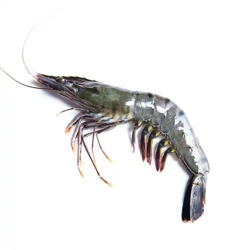 虎虾味库马来西亚超大冷冻海鲜海虾大虾冻虾