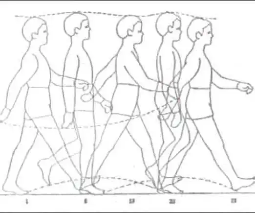 但却有规律可寻人的走路的运动规律:出右脚甩动左臂(朝前),右臂同时朝