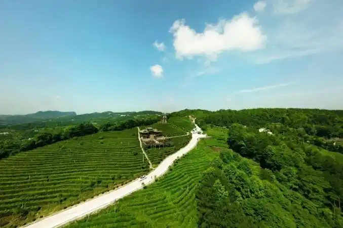 白杨坪镇洞下槽村 (2)赶场相亲会