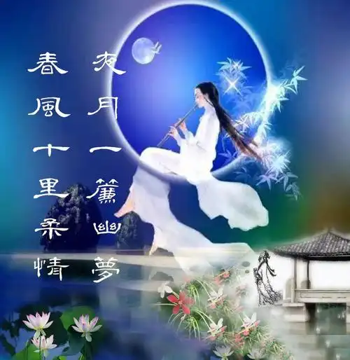 夜月一帘幽梦春风十里柔情