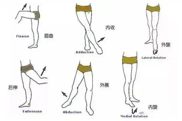 最近在网上看到大家都在讨论网红睡姿"还阳卧",态度褒贬不一,今天我想