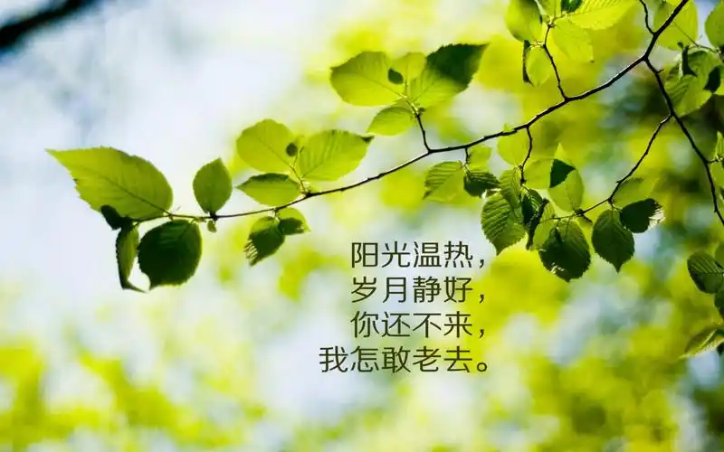 【rzxt】岁月&&静好win7主题