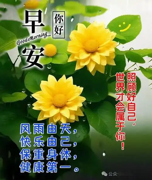 2024最美早上好暖心祝福图片,温馨早上好问候语句子!