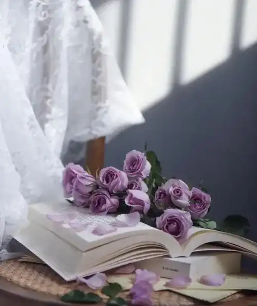 唯美散文诗 | 一 封 情 书