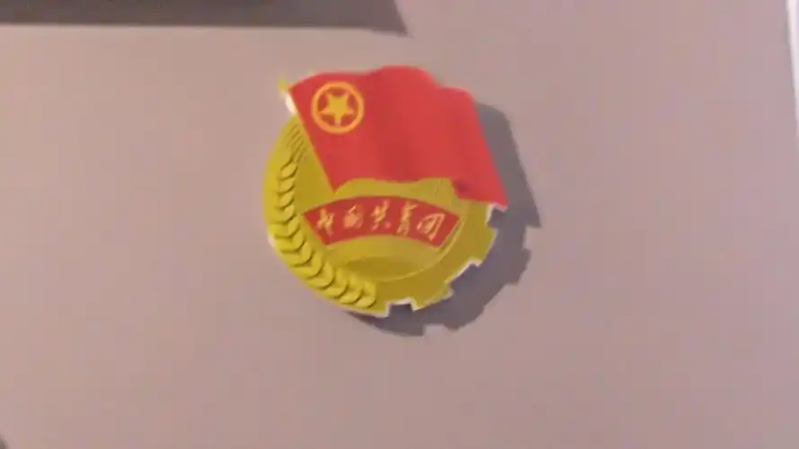 中国共青团团徽