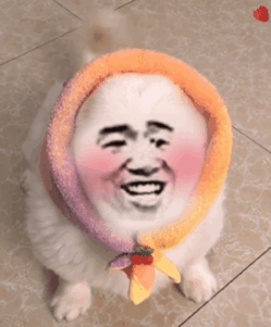 变脸猫摇尾巴动图 - 发表情 - fabiaoqing.com