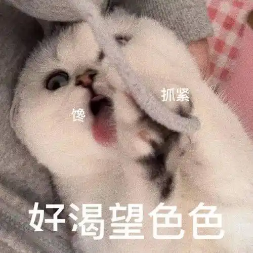 污污,瑟瑟撩人,色色表情包