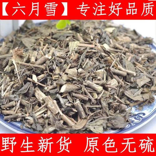 六月雪 浙江六月雪 中药材白马骨 路边金满天星500克新鲜干货