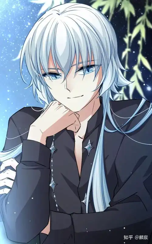 动漫里有哪些银发美男? - 知乎