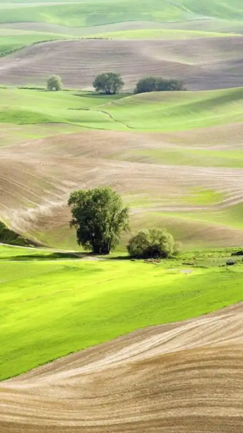 大自然景色壁纸 观大自然不一样的风情