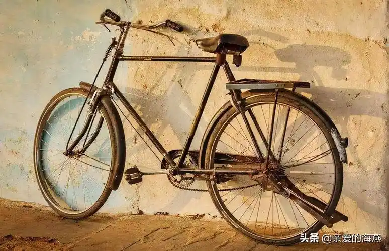 第四个交通工具:28自行车