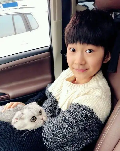 张亮被曝为天天的布偶猫治病,经纪人透露高昂医疗费能买辆小汽车