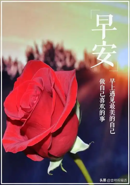 说说心情短语人生感悟2020简短3