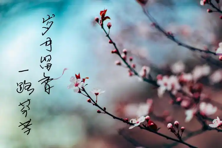 岁月留香 一路芬芳(宁津教育)