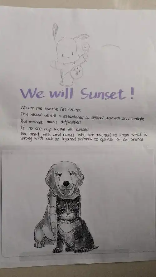 衡水二中举办保护野生动物创意海报设计活动