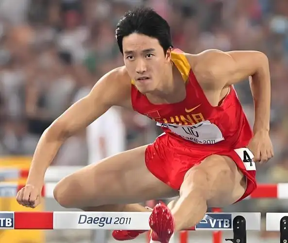 刘翔以惊人的速度创造了历史,他的每一次冲刺都是对速度的极致追求