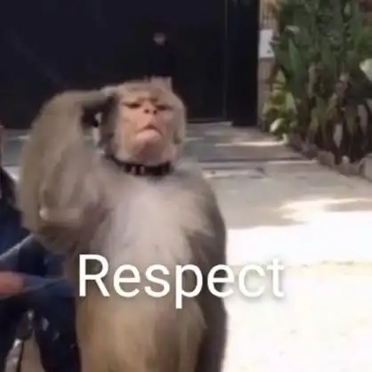 respect (瑞思拜)_瑞思_respect表情
