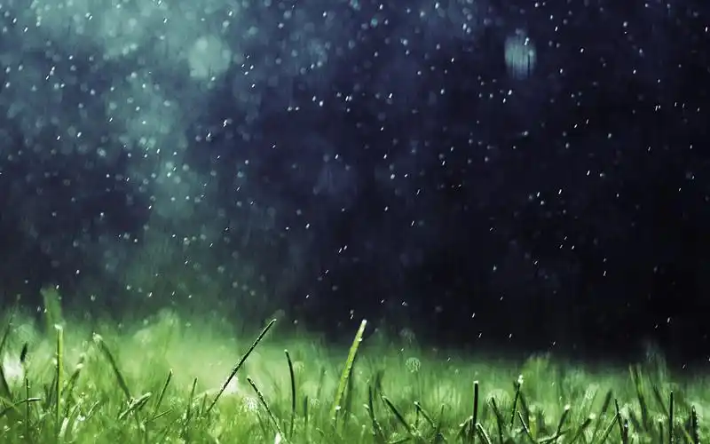 下雨天的唯美意境写真