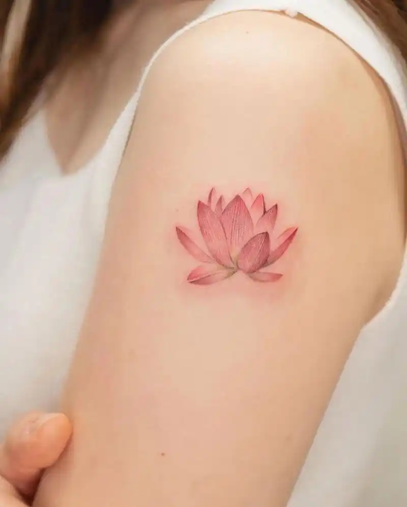 女生大臂莲花纹身,精致细节,单针纹身作品,彩色莲花纹身图案纹身 纹身