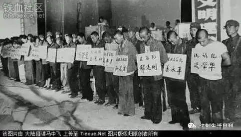 黑帮录:湖北松滋"杨老三"杨义勇,自诩是"拿了杀人执照"