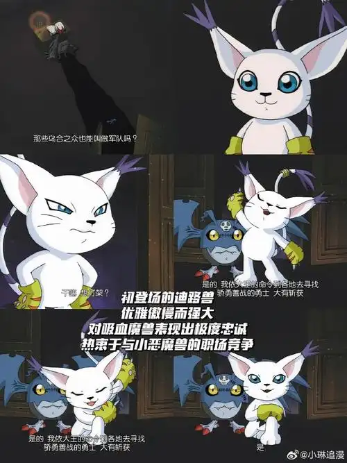 你说要经历多少黑暗才能觅得光明?迪路兽极孤独.