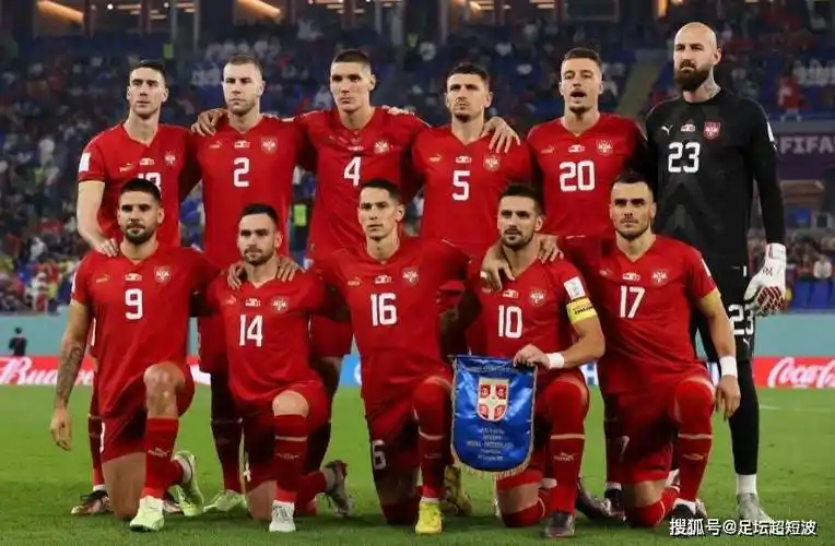 这支塞尔维亚队里,来自本土塞超联赛的球员4人,五大联赛12人,欧洲