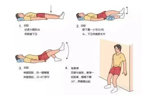 强化股四头肌 2.强化后腿肌肉