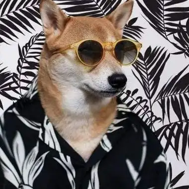 头像男简单动物 男生头像图片大全 -【爱个性】