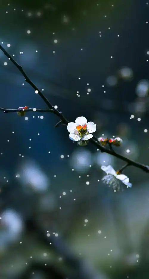 8张意味深长的优美意境图片