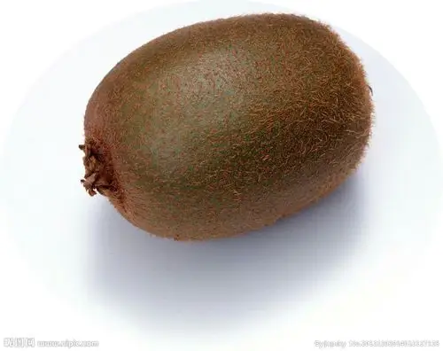 春天幼儿园 小小(2)班 小梵高美术-----《椭圆水果》