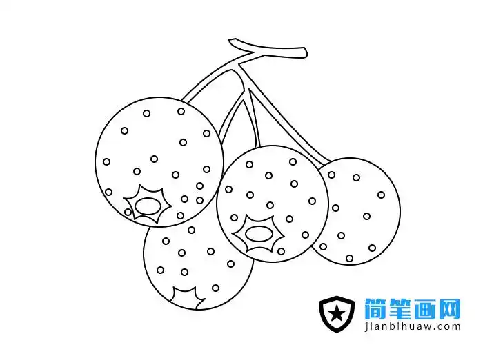 山楂简笔画图片上色