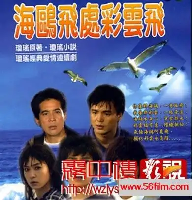 台湾1989海鸥飞处彩云飞6碟台版dvd全40百度云