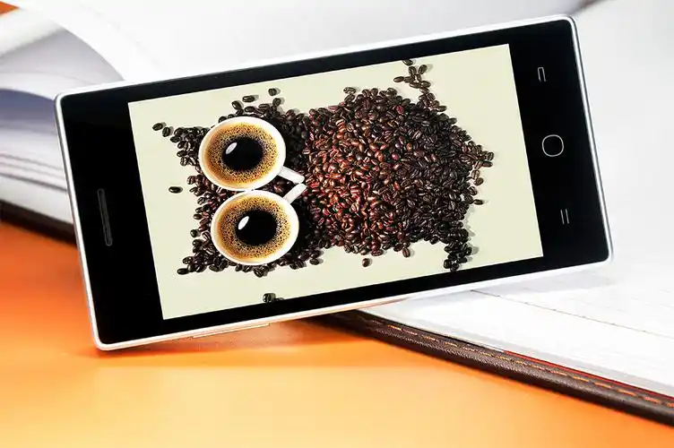 0691 酷派 5313s 电信4g 双卡双待手机(4g rom) 极地白