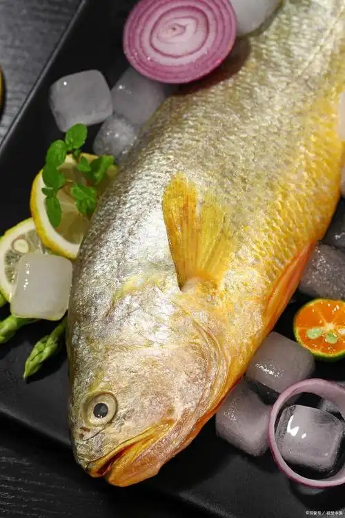 黄花鱼,又称黄鱼,黄鳍鱼,是我国沿海地区常见的一种经济鱼类.