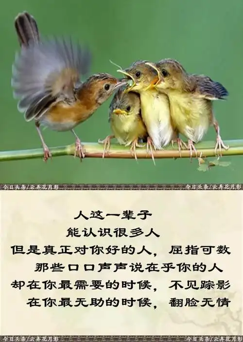 再忙,也别冷落在乎你的人